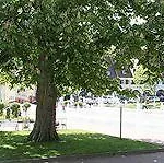 Hotel Krone 3*