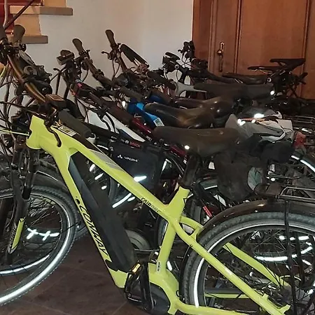 Krone 호텔 프로이덴슈타트