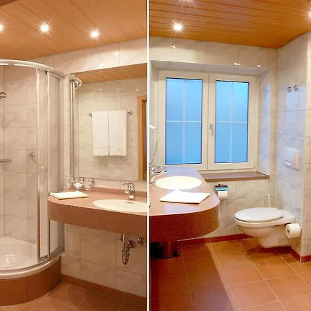 호텔 Krone 프로이덴슈타트